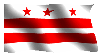dc flag
